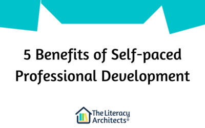 5 Benefits of Self-paced Professional Development