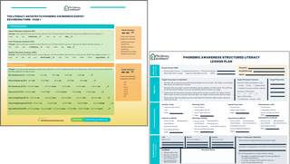 phonemic awareness diagnostic and lesson plan template